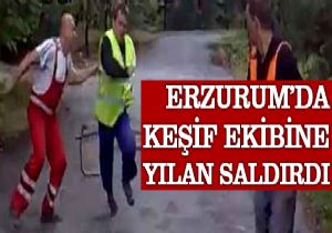 Erzurum'da keşif ekibine yılan saldırdı!